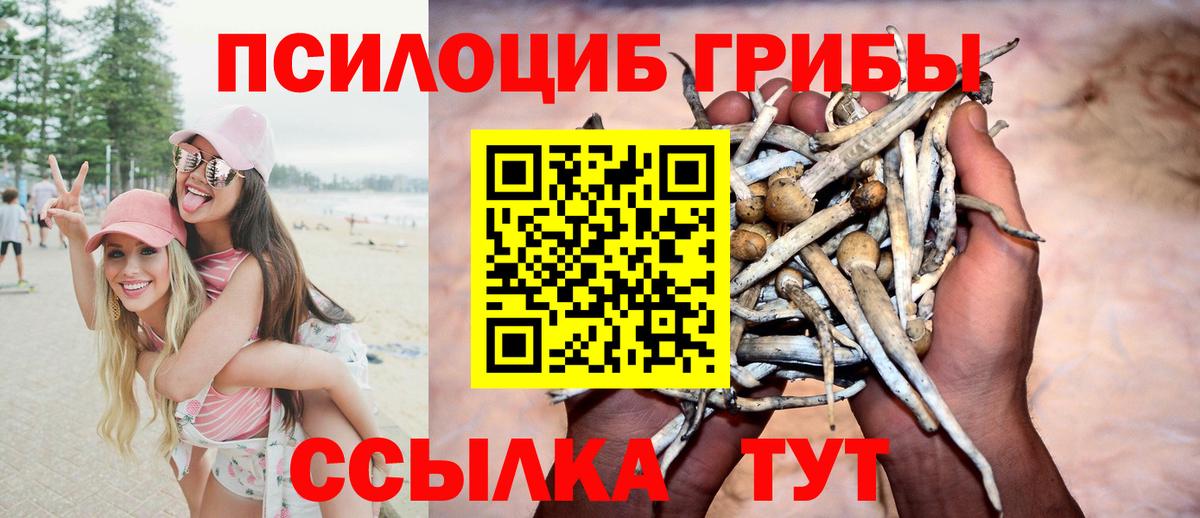 цена наркотик  Вход с VPN  Красноармейск  Псилоцибиновые грибы MAGIC MUSHROOMS 